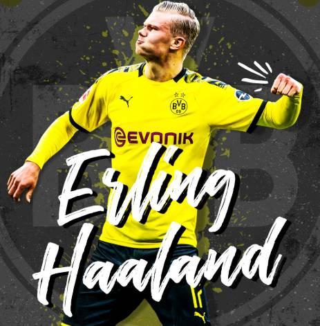 有何意味？萨拉赫社媒晒户外落叶景色图，并未配文（意味何在？萨拉赫社媒晒落叶户外景图，未附文字）